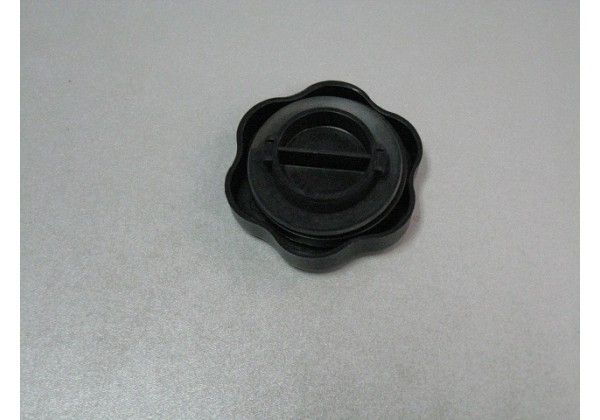 Кришка горловини маслозаливной Renault 19, Clio, Kangoo, Laguna, Megane, Espace II, 21, Safrane, Scenic, 7700869464